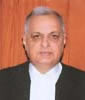 Mr Justice Prafulla C. Pant